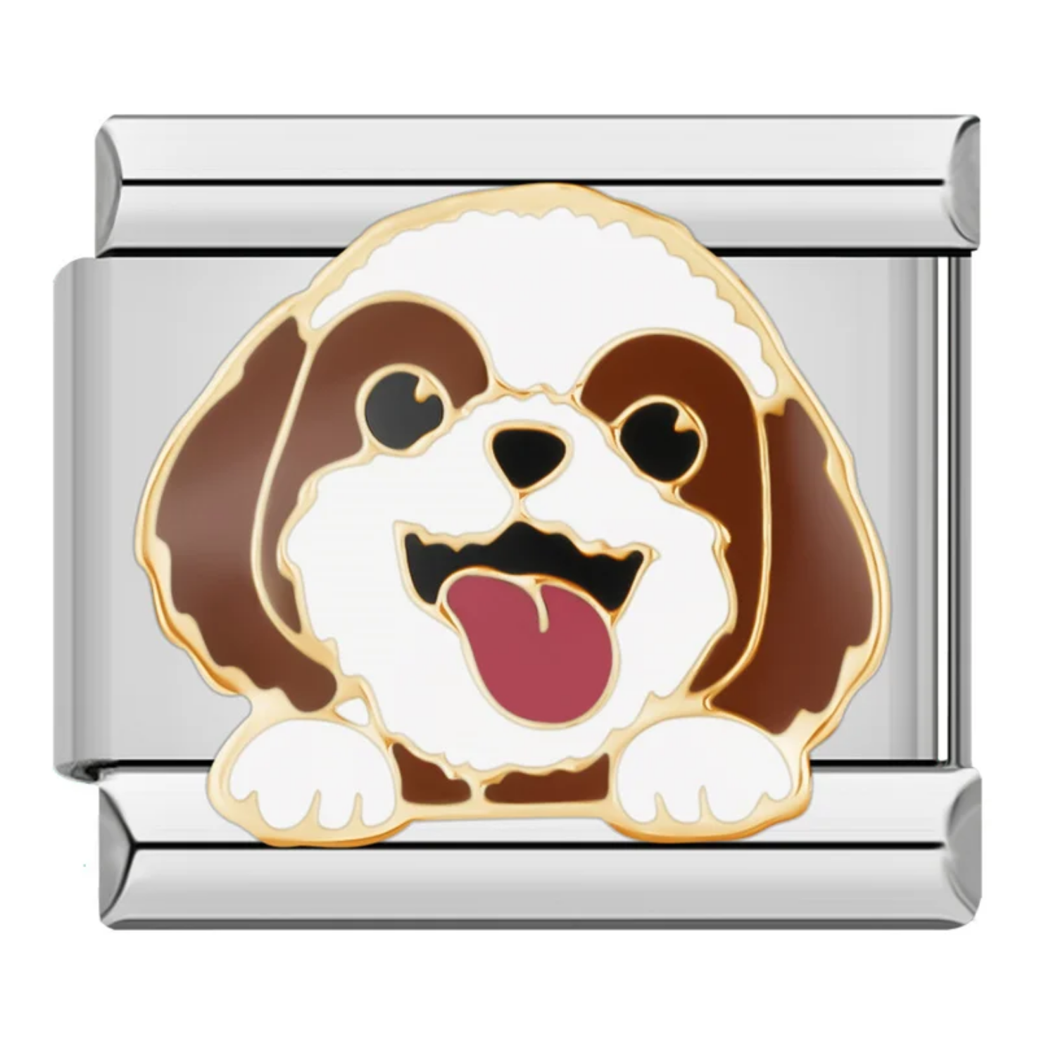 Charm Shih Tzu