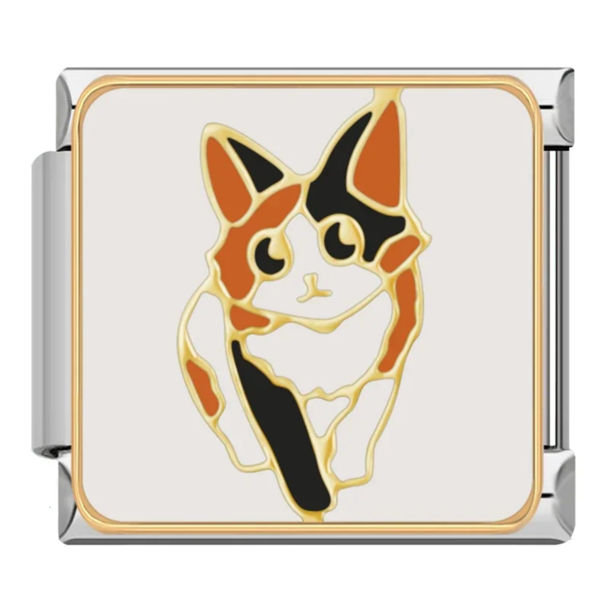 Charm Gato anime
