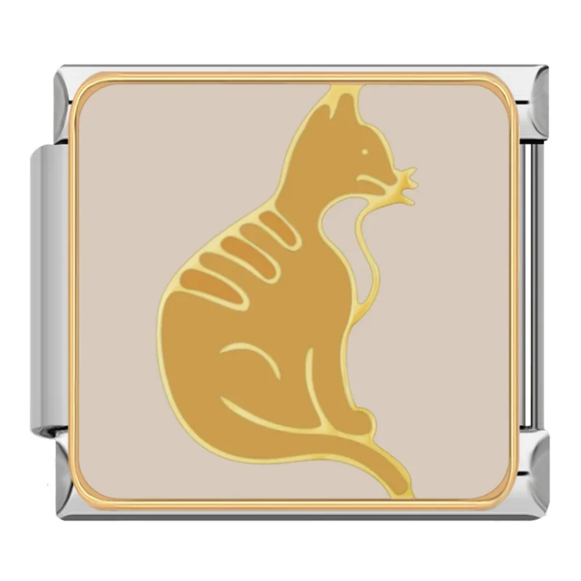 Charm Gato naranja