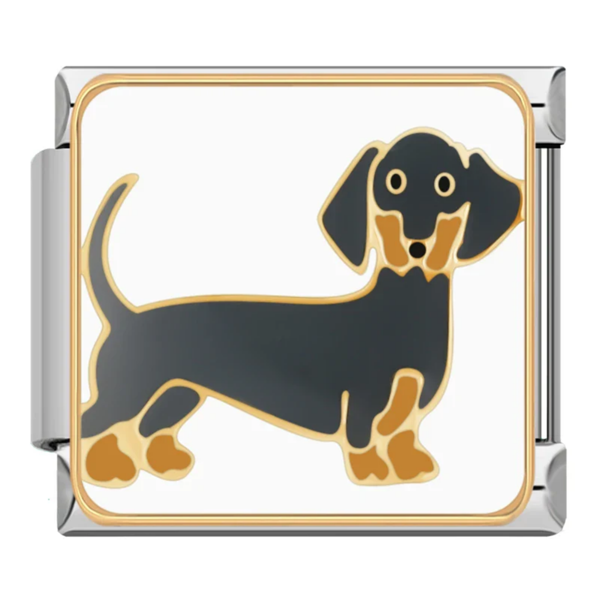 Charm Perro salchicha