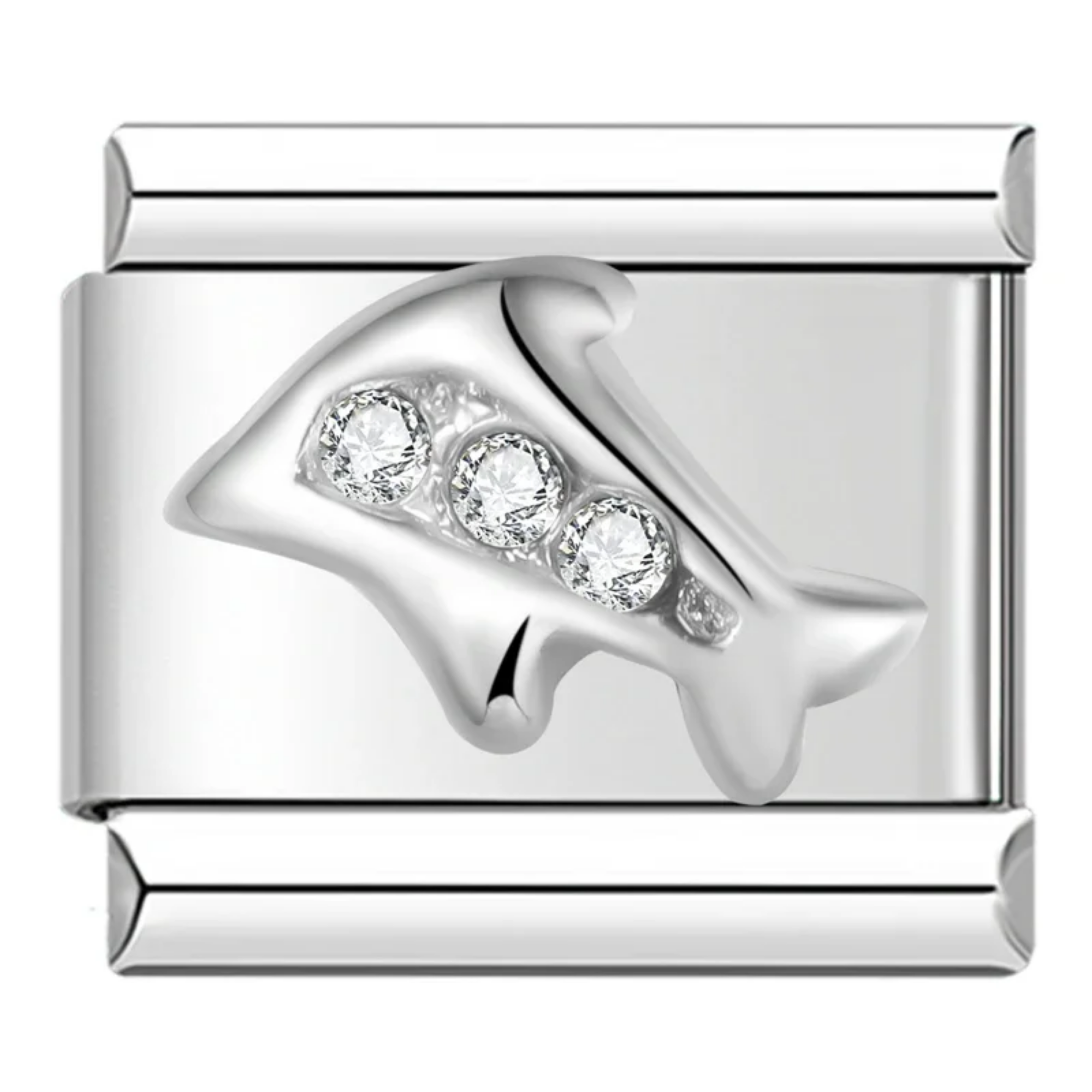 Charm Delfín brillante