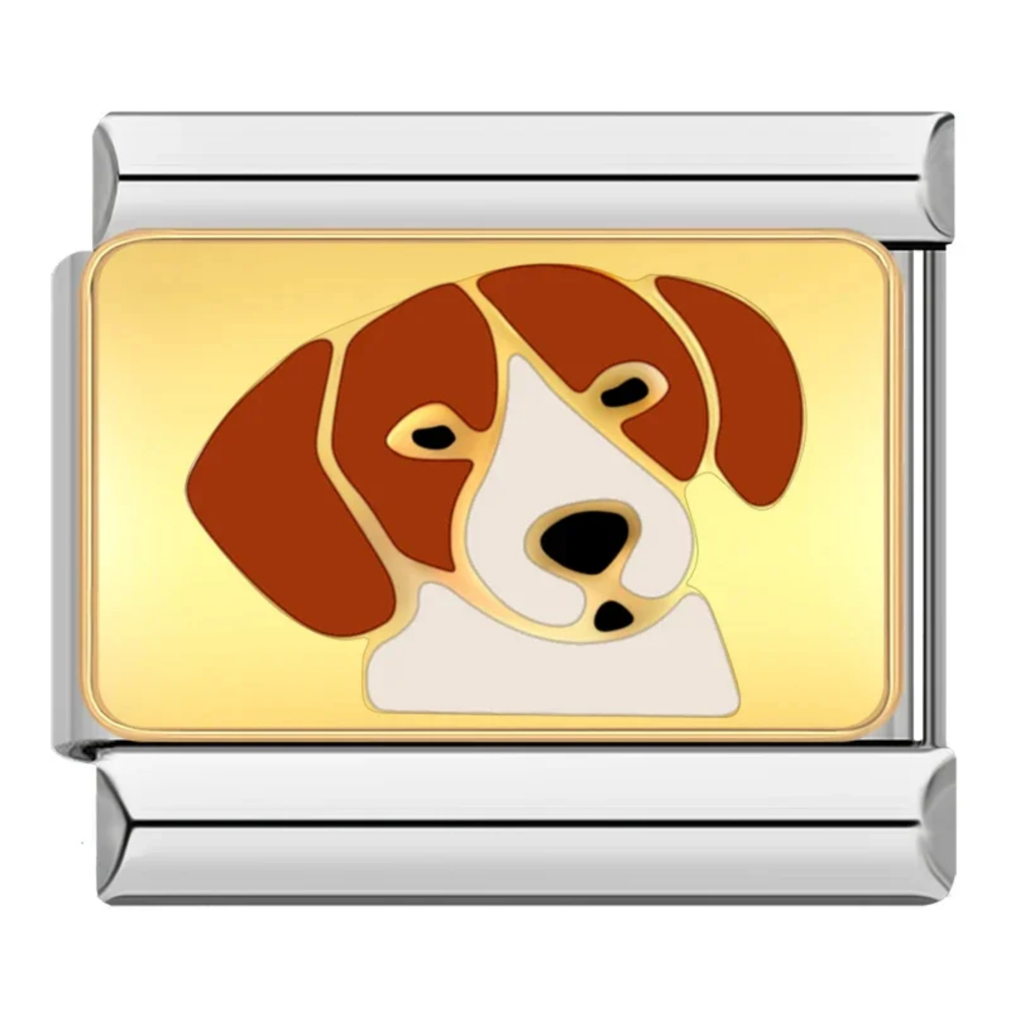 Charm Perro